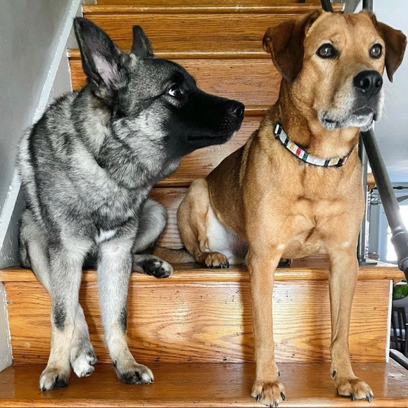 Meet Your Posher - Picture 3 of 4